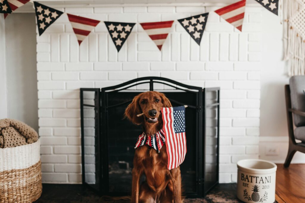 patriotic dog fireplace